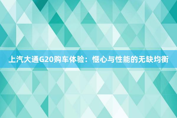 上汽大通G20购车体验：惬心与性能的无缺均衡