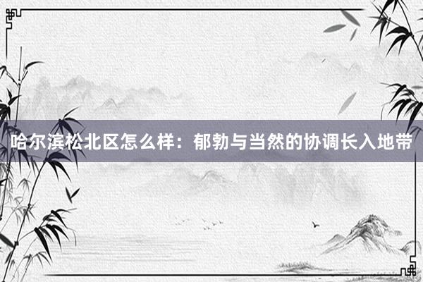 哈尔滨松北区怎么样：郁勃与当然的协调长入地带