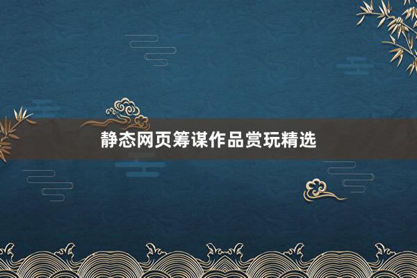 静态网页筹谋作品赏玩精选