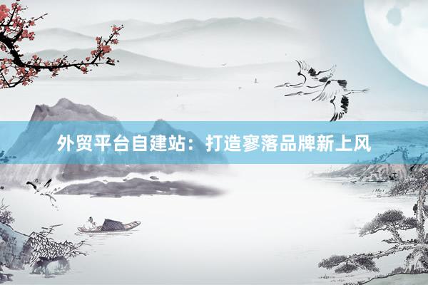 外贸平台自建站：打造寥落品牌新上风