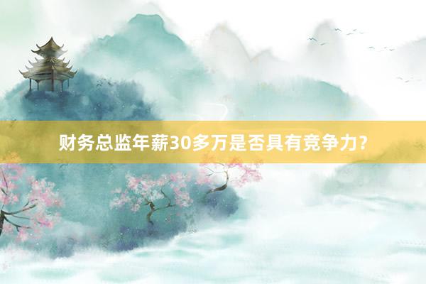 财务总监年薪30多万是否具有竞争力？